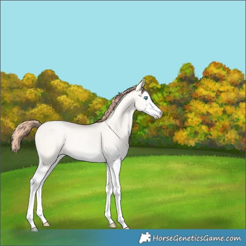 Horse Color:White Spotted Amber Cream Champagne Pearl Dun Tobiano 
