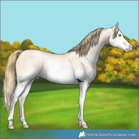 Horse Color:Classic Champagne Snowdrop Pearl Dun Sabino Splash