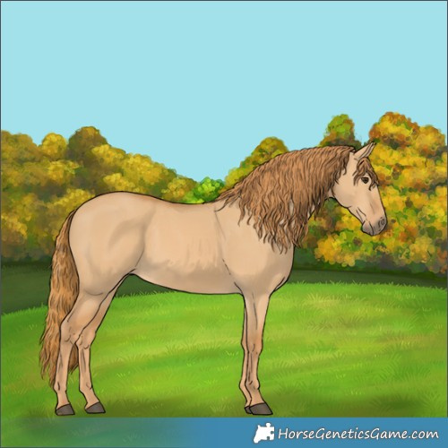 Horse Color:Red Dun 