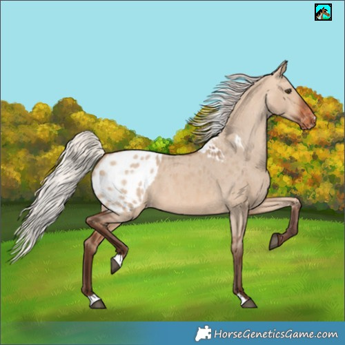 Horse Color:Silver Bay Dun Skewed LP Spotted
