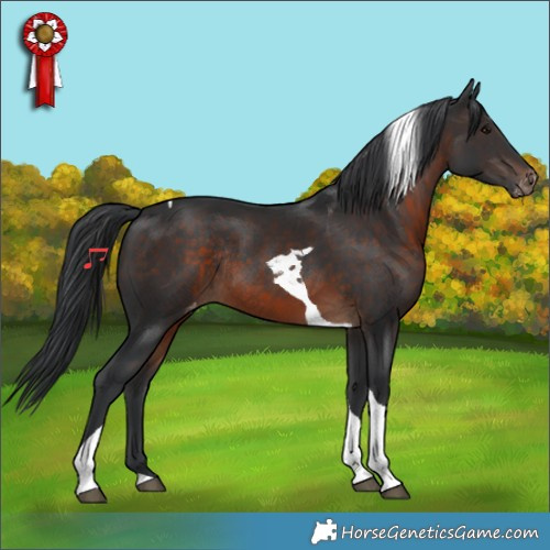 Horse Color:Brown Tobiano Varnish Rabicano 