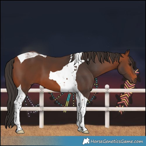 Horse Color:Bay Tobiano 