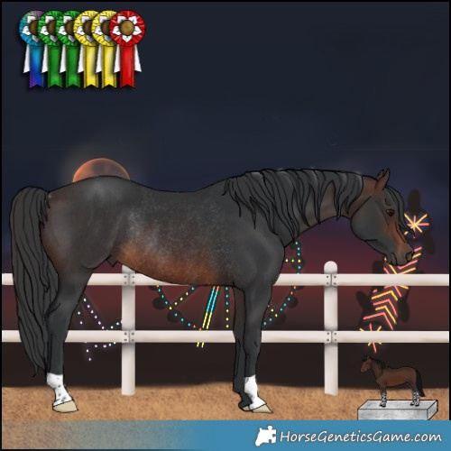 Horse Color:Brown Rabicano 