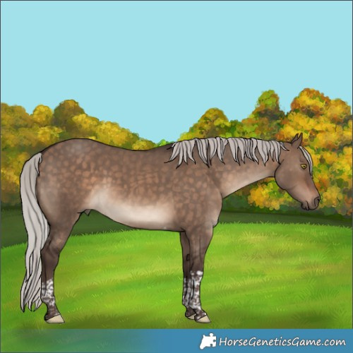 Horse Color:Silver Brown Dun Tobiano