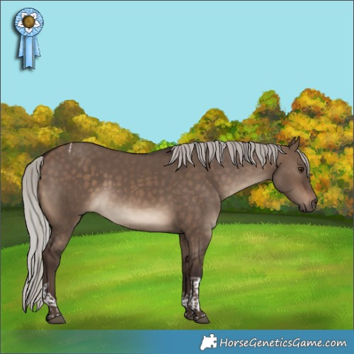Horse Color:Silver Brown Dun Tobiano 