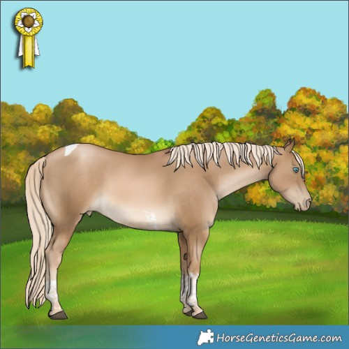 Horse Color:Liver Chestnut Snowdrop Pearl Tobiano 