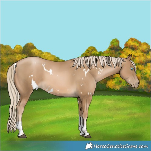 Horse Color:White Spotted Liver Chestnut Snowdrop Pearl Tobiano 