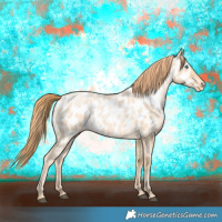 Horse Color:Buckskin Roan Near Leopard