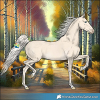 Horse Color:Cremello