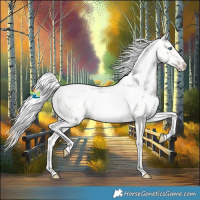 Horse Color:Silver Amber Cream Champagne Pearl 