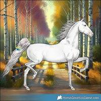 Horse Color:Amber Cream Champagne Pearl 