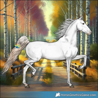 Horse Color:Red Roan Fewspot 