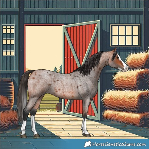 Horse Color:Bay Roan Splash 