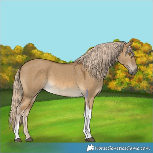 Horse Color:Chocolate Palomino Dun Tobiano 
