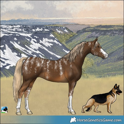 Horse Color:Powder White Chocolate Palomino