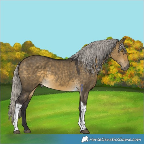 Horse Color:Silver Buckskin Dun Tobiano