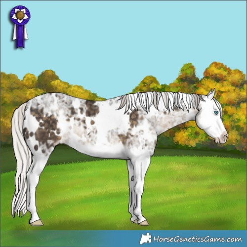 Horse Color:White Spotted Silver Smoky Black Ice Splash