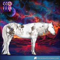 Horse Color:White Spotted Silver Smoky Black Ice Splash
