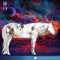 Horse Color:White Spotted Silver Smoky Black Ice Splash 