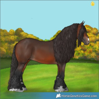 Horse Color:Brown