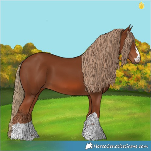 Horse Color:Chestnut 
