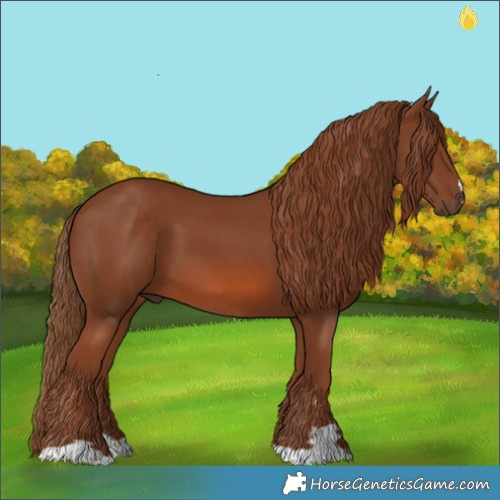 Horse Color:Chestnut 