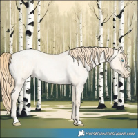 Horse Color:Buckskin Roan Pearl  and Buckskin Roan Pearl 