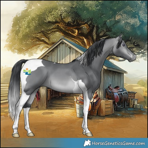 Horse Color:Bay Chinchilla Tobiano 