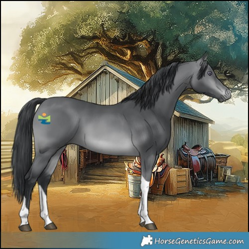 Horse Color:Brown Chinchilla Tobiano 