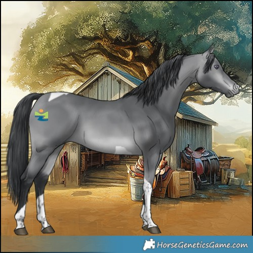 Horse Color:Bay Chinchilla Tobiano 