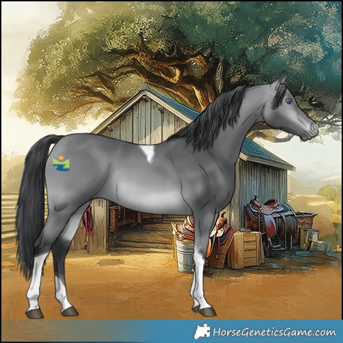 Horse Color:Bay Chinchilla Tobiano 