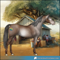 Horse Color:Gray Classic Champagne 