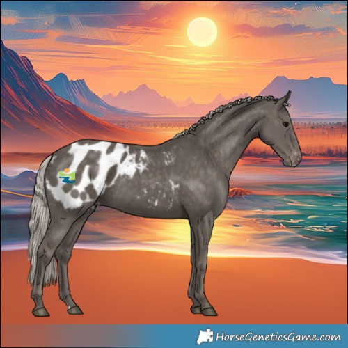 Horse Color:Silver Black Blanket 