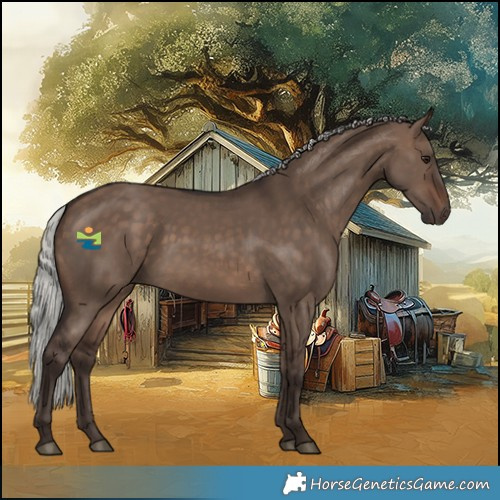 Horse Color:Silver Brown Dun 