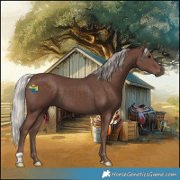 Horse Color:Silver Black