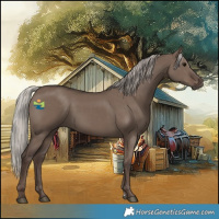 Horse Color:Silver Grullo 