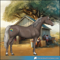 Horse Color:Silver Black