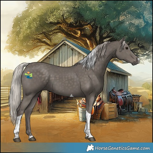 Horse Color:Silver Black Tobiano 