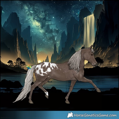 Horse Color:Silver Black Blanket 