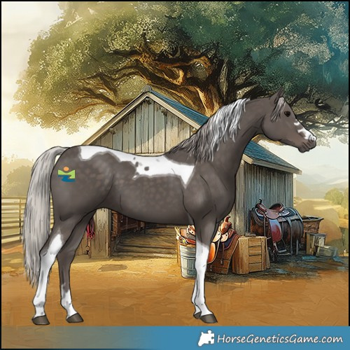 Horse Color:Silver Black Tobiano 