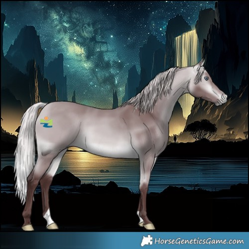 Horse Color:Chocolate Silver Buckskin Chinchilla 
