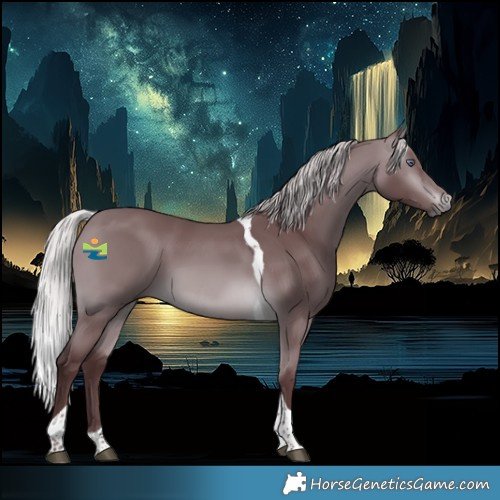 Horse Color:Chocolate Silver Brown Chinchilla Tobiano 