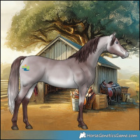 Horse Color:Chocolate Buckskin Chinchilla 