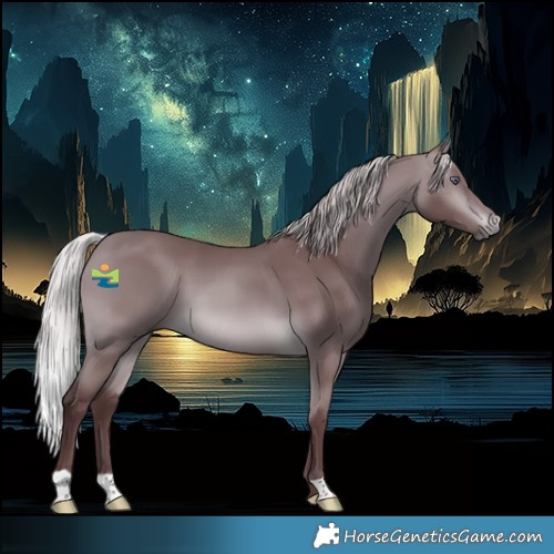 Horse Color:Chocolate Silver Brown Chinchilla 
