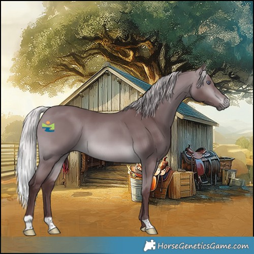 Horse Color:Chocolate Silver Brown Chinchilla 