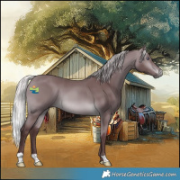 Horse Color:Chocolate Silver Brown Chinchilla