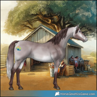 Horse Color:Chocolate Buckskin Chinchilla 