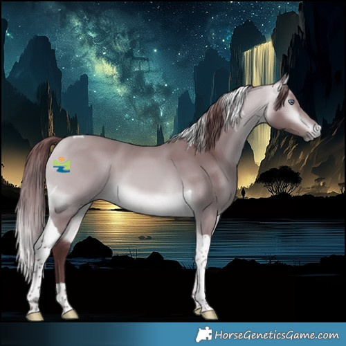 Horse Color:Chocolate Buckskin Chinchilla Tobiano 