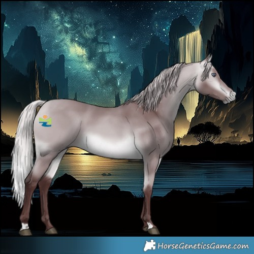 Horse Color:Chocolate Silver Buckskin Chinchilla 