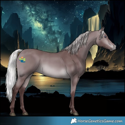 Horse Color:Chocolate Silver Brown Chinchilla 
